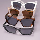 Hudson Sunglasses