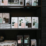 PLŪKT Nordic Green Organic Herbal Tea