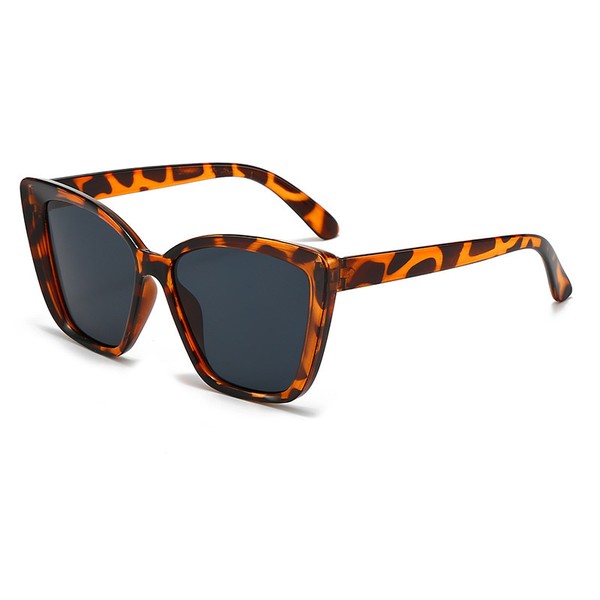 Hudson Sunglasses
