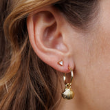 Seashell Hoops