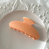 Pastel Cloud Claw Clip