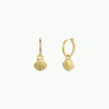 Seashell Hoops