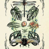 Green Witch's Oracle Deck by Arin Murphy-Hiscock