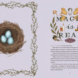 Wheel of the Year by Fiona Cook