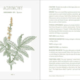 Complete Folk Herbal by Rebecca Beyer