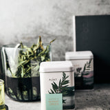 PLŪKT Nordic Green Organic Herbal Tea