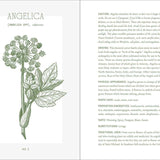 Complete Folk Herbal by Rebecca Beyer