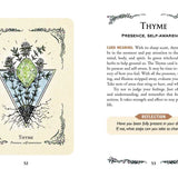 Green Witch's Oracle Deck by Arin Murphy-Hiscock