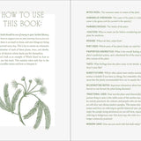 Complete Folk Herbal by Rebecca Beyer
