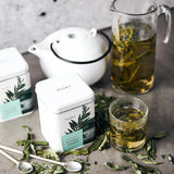 PLŪKT Nordic Green Organic Herbal Tea