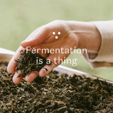 PLŪKT Nordic Black Organic Herbal Tea