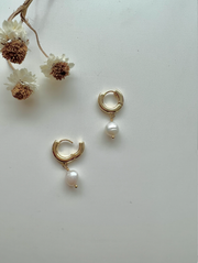 Odyssey Earrings